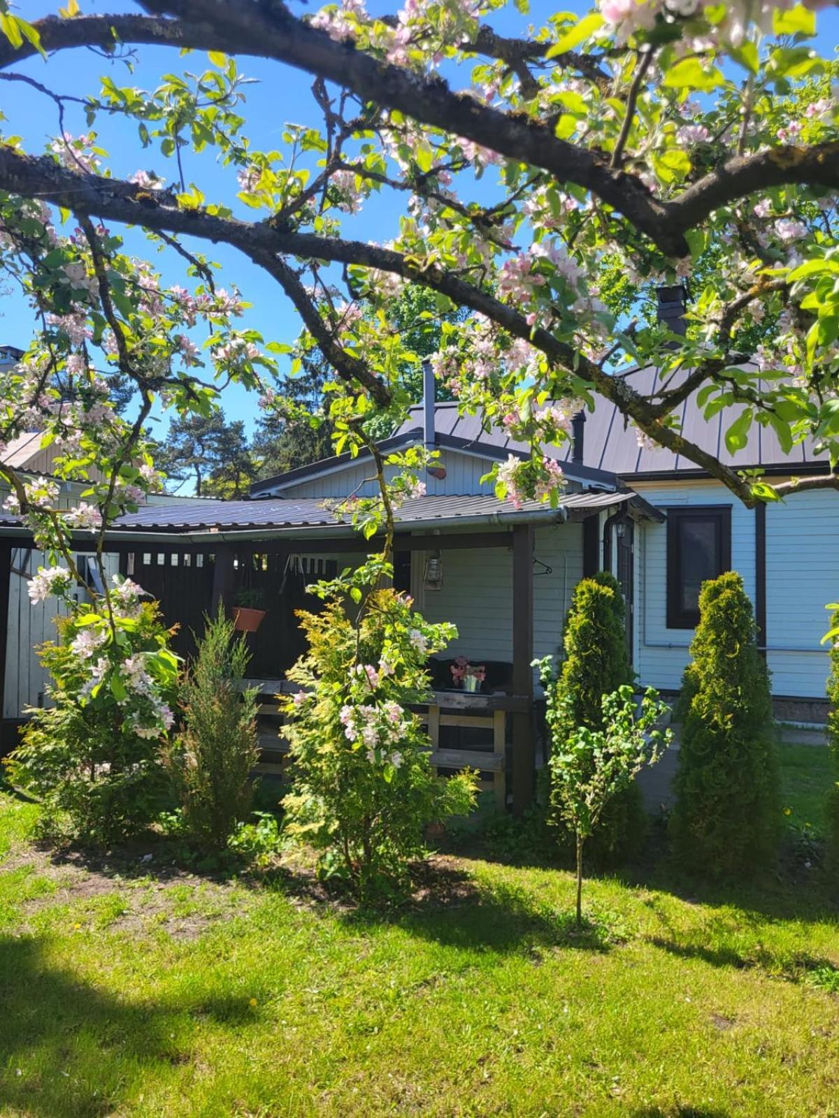 Guest House Sunny Jūrkalne Exteriör bild